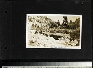 Go to image 5.