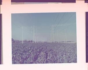 Go to image 1.