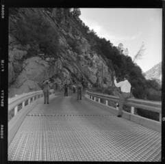 Go to image 11.