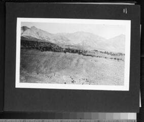Go to image 13.