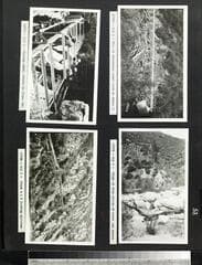 Go to image 61.