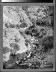 Go to image 6.