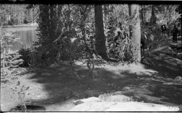 Big Creek Scenery