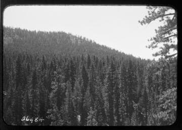 Fish Valley