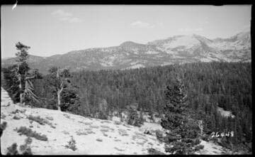 Fish Valley