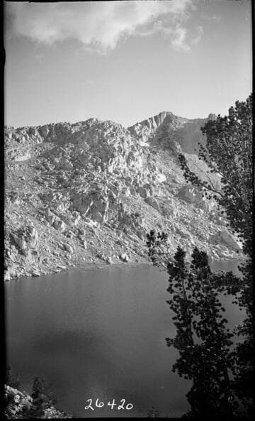 Fish Valley