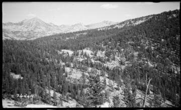 Fish Valley