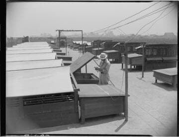 L. A. Wright Ranch