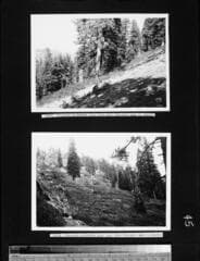 Go to image 46.