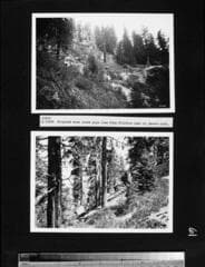 Go to image 64.