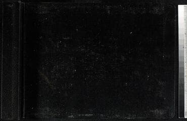 Go to image 229.