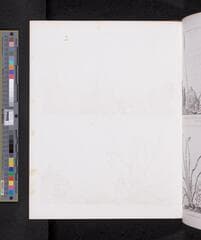 Go to image 233.