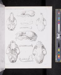 Go to image 738.