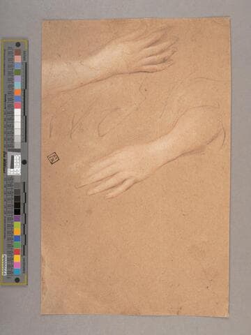 Woman's Hands