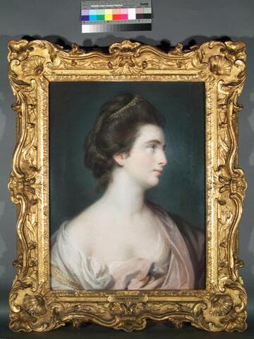 Portrait of a Lady