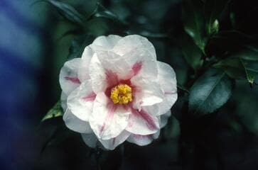 Go to image 2.