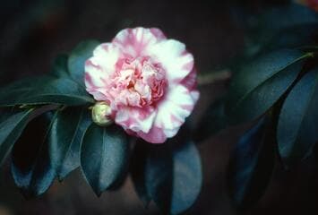 Go to image 3.