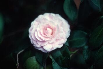 Go to image 5.