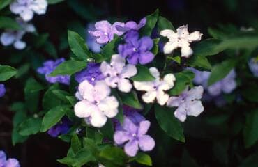 Go to image 2.