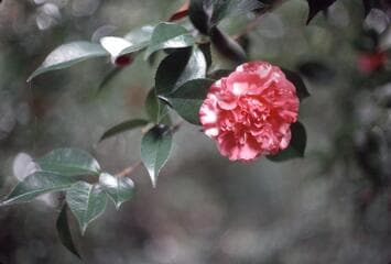 Go to image 4.