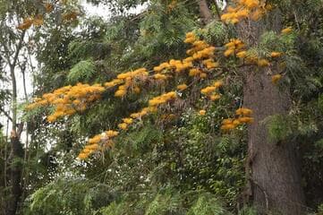 Go to image 11.