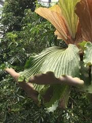 Go to image 2.