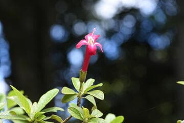 Go to image 8.