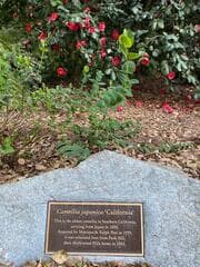 Go to image 2.