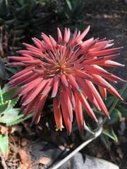Go to image 1.