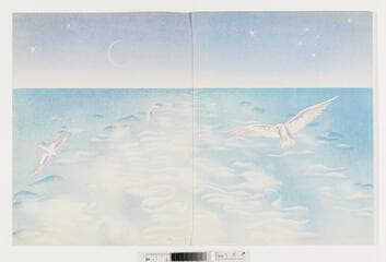 Go to image 2.