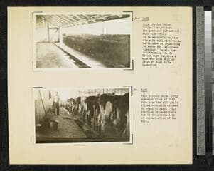 Go to image 19.