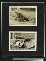 Go to image 90.