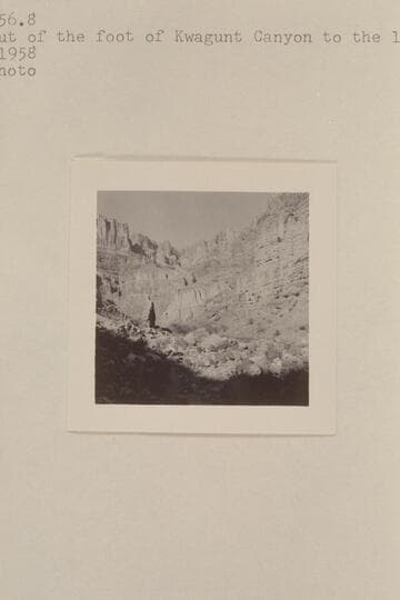 Looking out of the foot of Kwagunt Canyon to the left bank of river