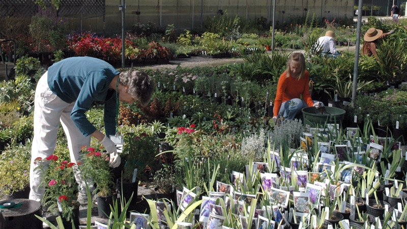 fall-plant-prep-1